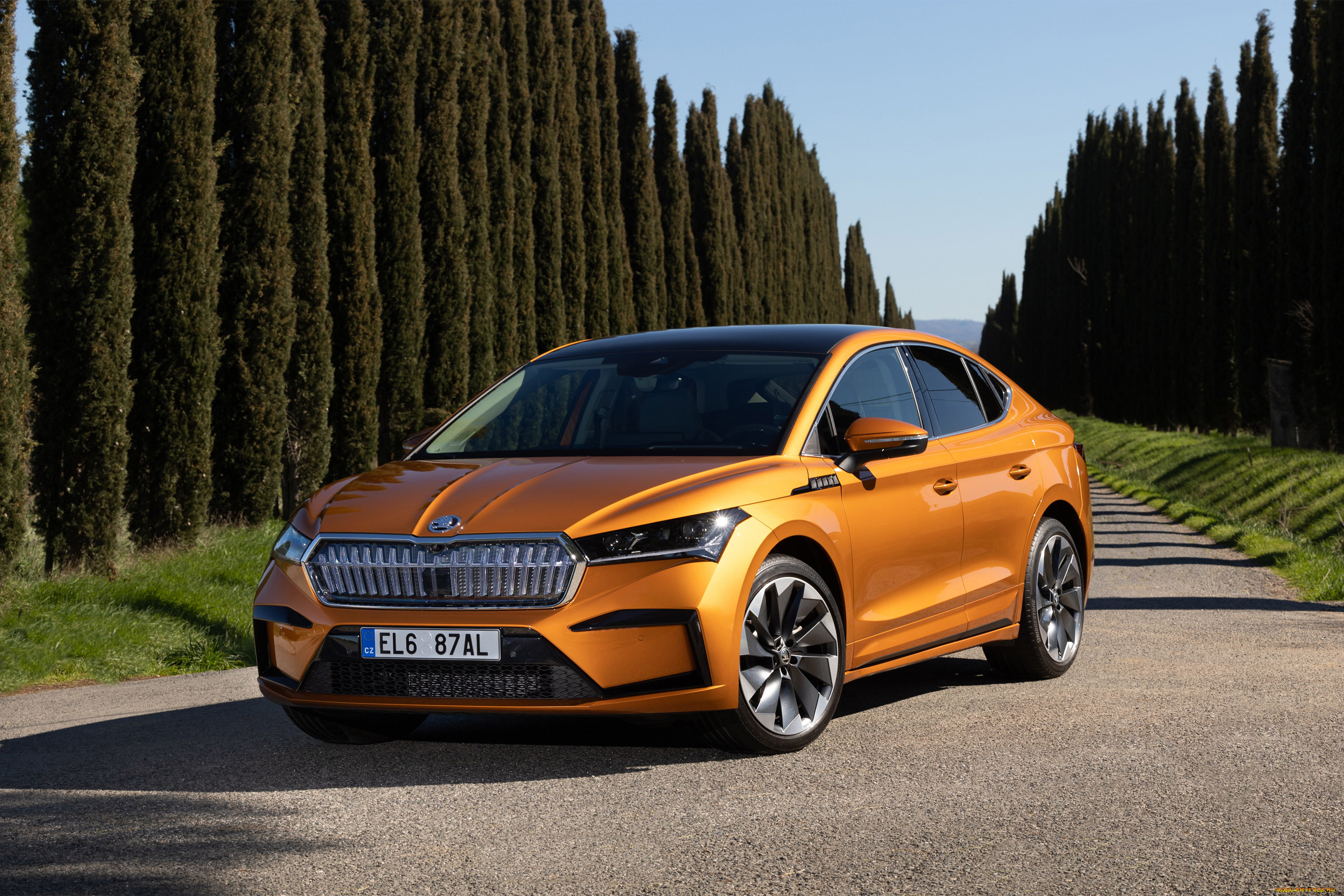 , skoda